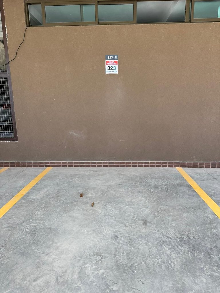 Incrível 3 quartos Beira-Mar Açores Tamandaré