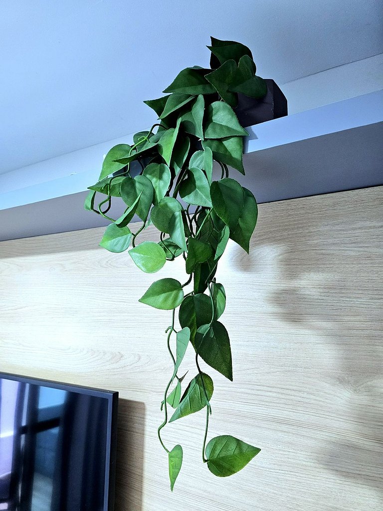 Piscina privativa Incrível no centro de Porto #08